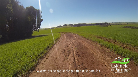 VAI DA BR PARA A FAZENDA.00_01_44_28.Quadro019_7631146efce2c98a8f934864403a5c16ec1e0802.jpg